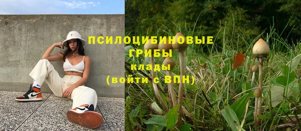 стаф Алексин