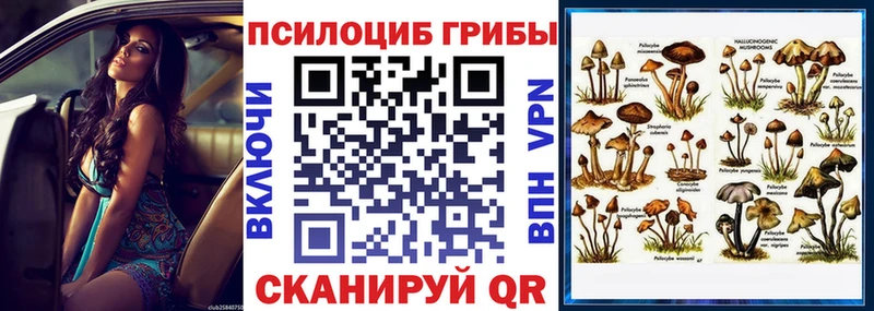 Галлюциногенные грибы прущие грибы  Алзамай 
